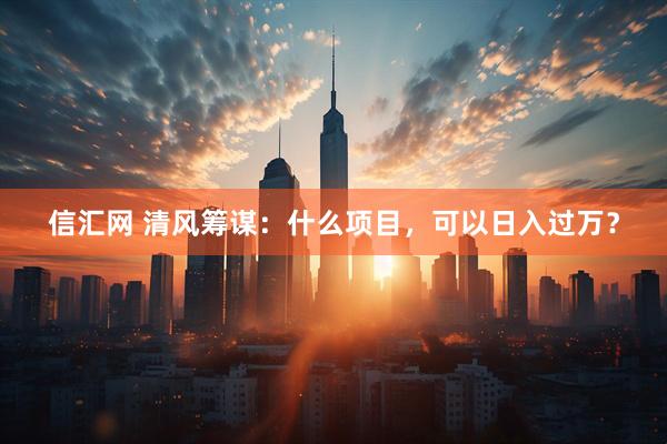 信汇网 清风筹谋：什么项目，可以日入过万？